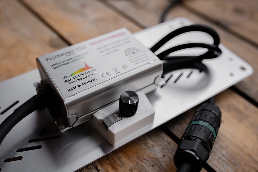 Pflanzenlampe von Wurzelwerk & CreScience