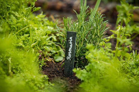 Pflanzschild aus Schiefer