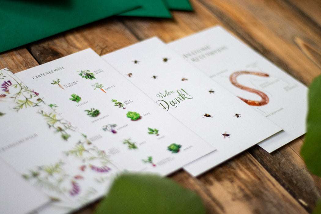 Postkartenset im Detail