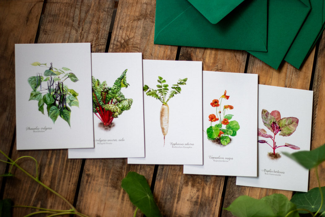 Postkartenset mit 5 Postkarten