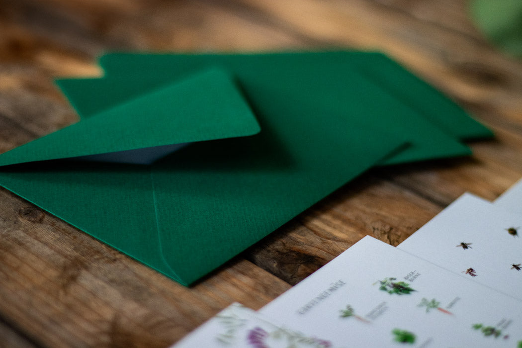 Postkartenset mit grünen Umschlägen