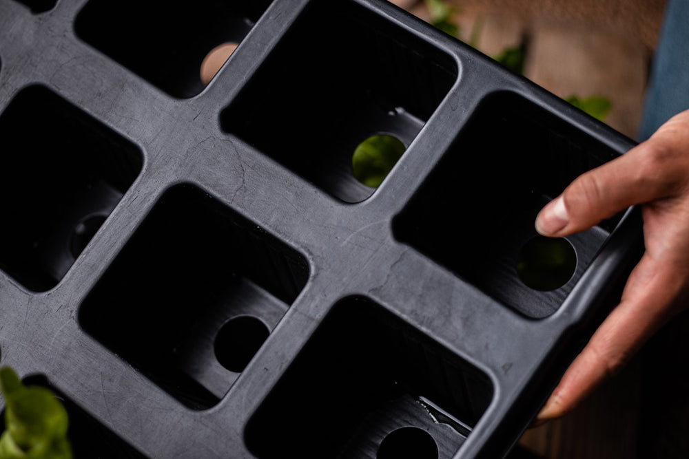 QuickPot Anzuchtplatten