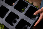 Quickpot "Groß" im Detail