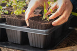 Quickpot "Groß" bei Bepflanzung
