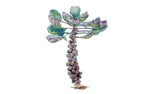 Illustration vom Rosenkohl "Rubine"