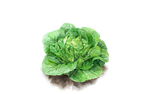 Illustration Salat