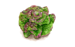 Illustration Salat "Pirat"