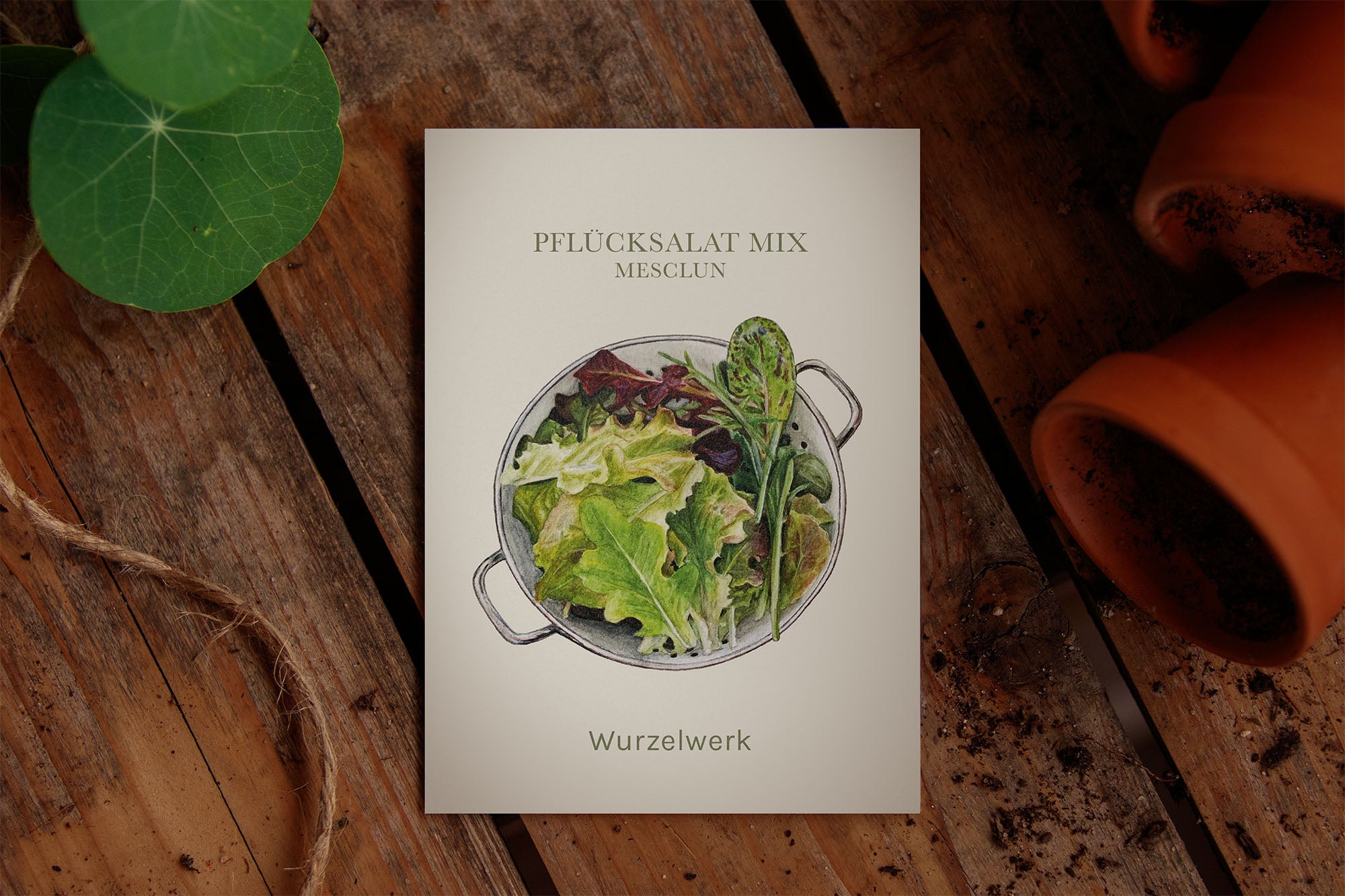 Pflücksalat Mix Mesclun