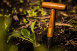 Pflanzholz mit T-Griff im Beet