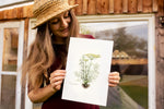 Marie hält Poster "Dill" in der Hand