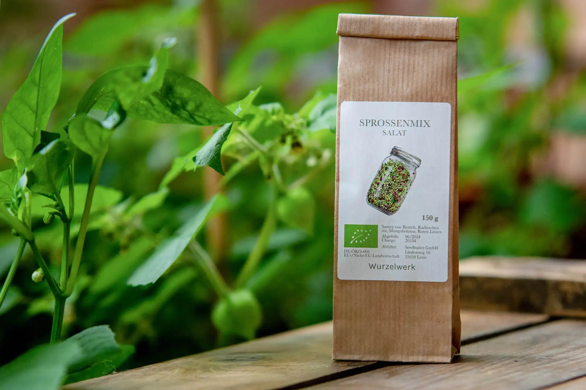 Sprossenmix ‘Salat‘