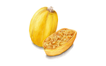 Illustration Spaghettikurbis