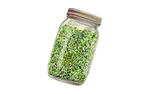 Illustration Sprossenmix "Brotzeit"