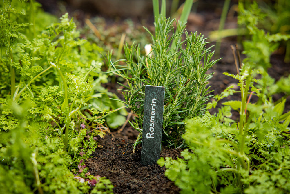 Pflanzschild aus Schiefer