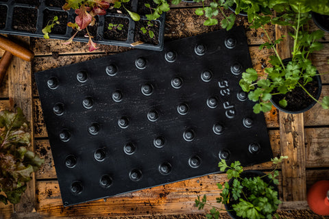 Aushebeplatte für QuickPot Anzuchtplatten