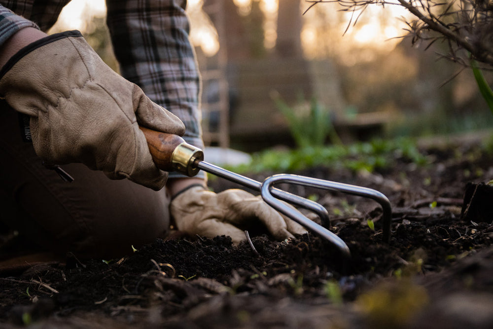 Zubehör für deinen Gemüsegarten Wurzelwerk