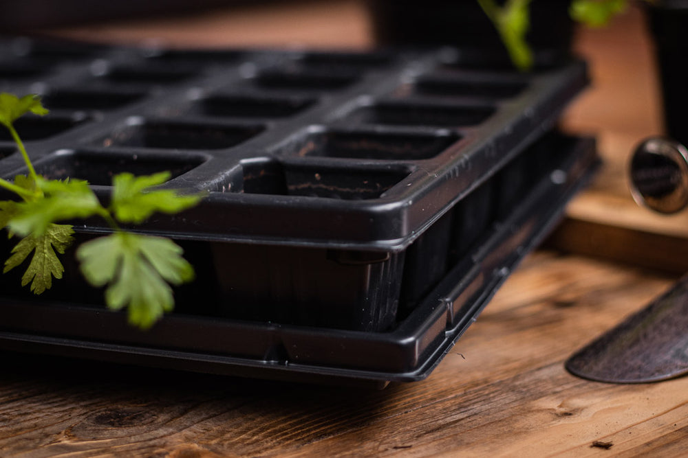 QuickPot Anzuchtplatten