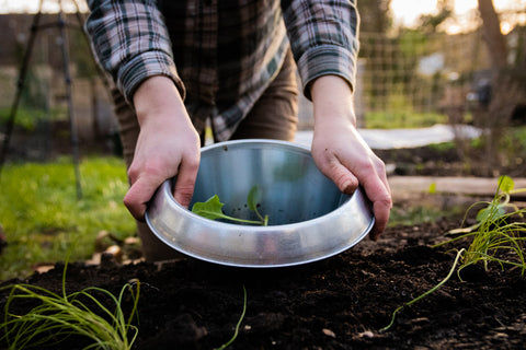 Schneckenkragen – 3er Set, aus Metall