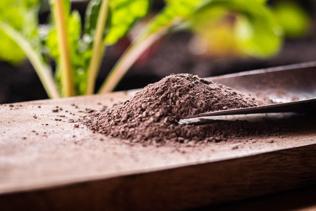 Urgesteinsmehl auf Hochbeet