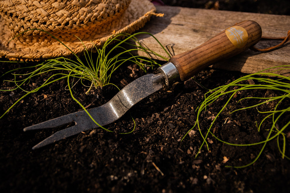 Unkrautstecher aus Karbonstahl