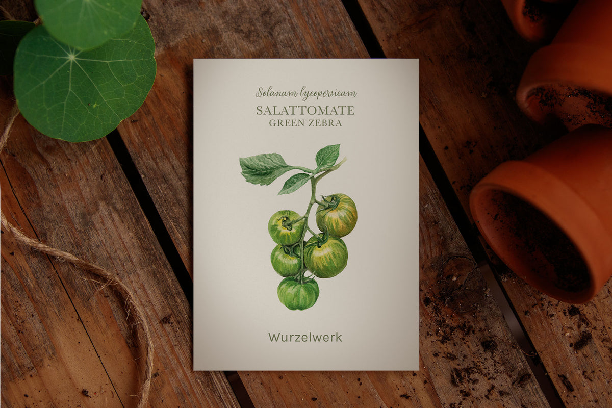 Saatguttütchen Salattomate "Green Zebra"