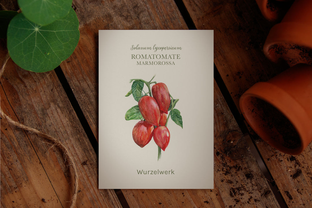 Saatguttütchen Tomate "Marmorossa"