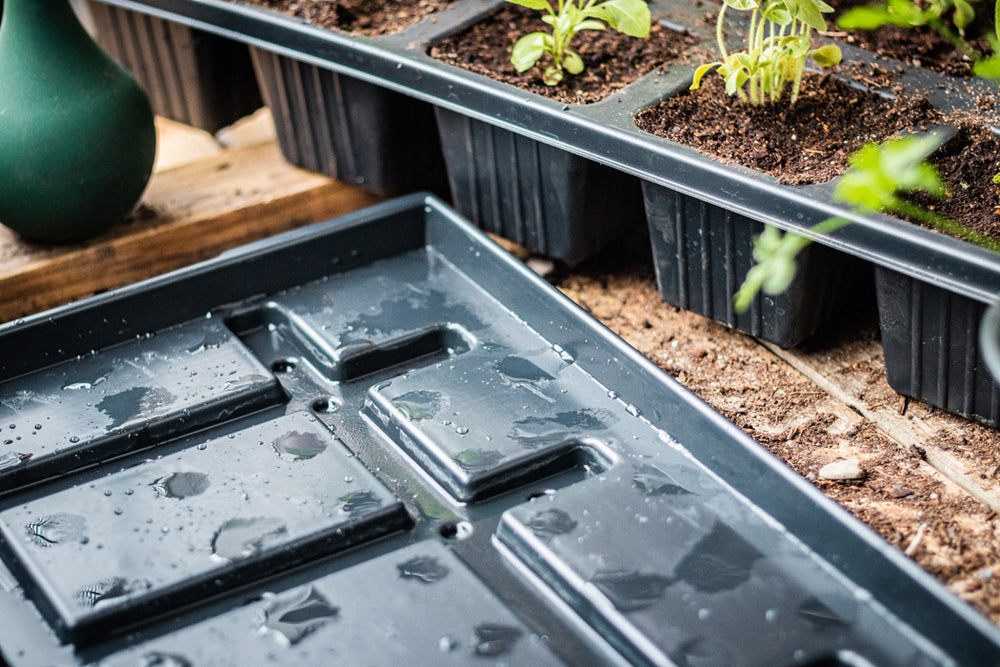 Untersetzer für QuickPot Anzuchtplatten