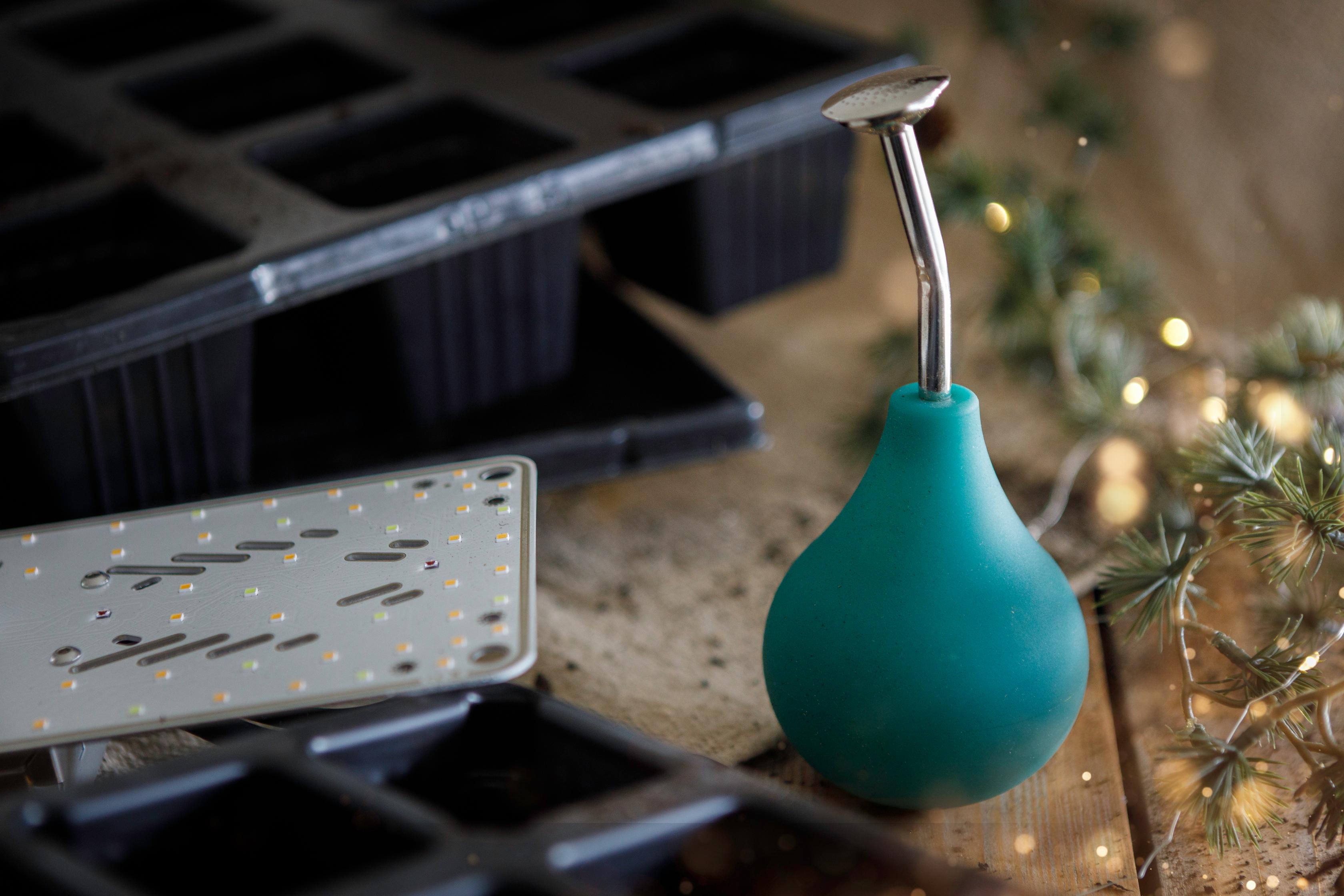 Jungpflanzen Anzucht-Set