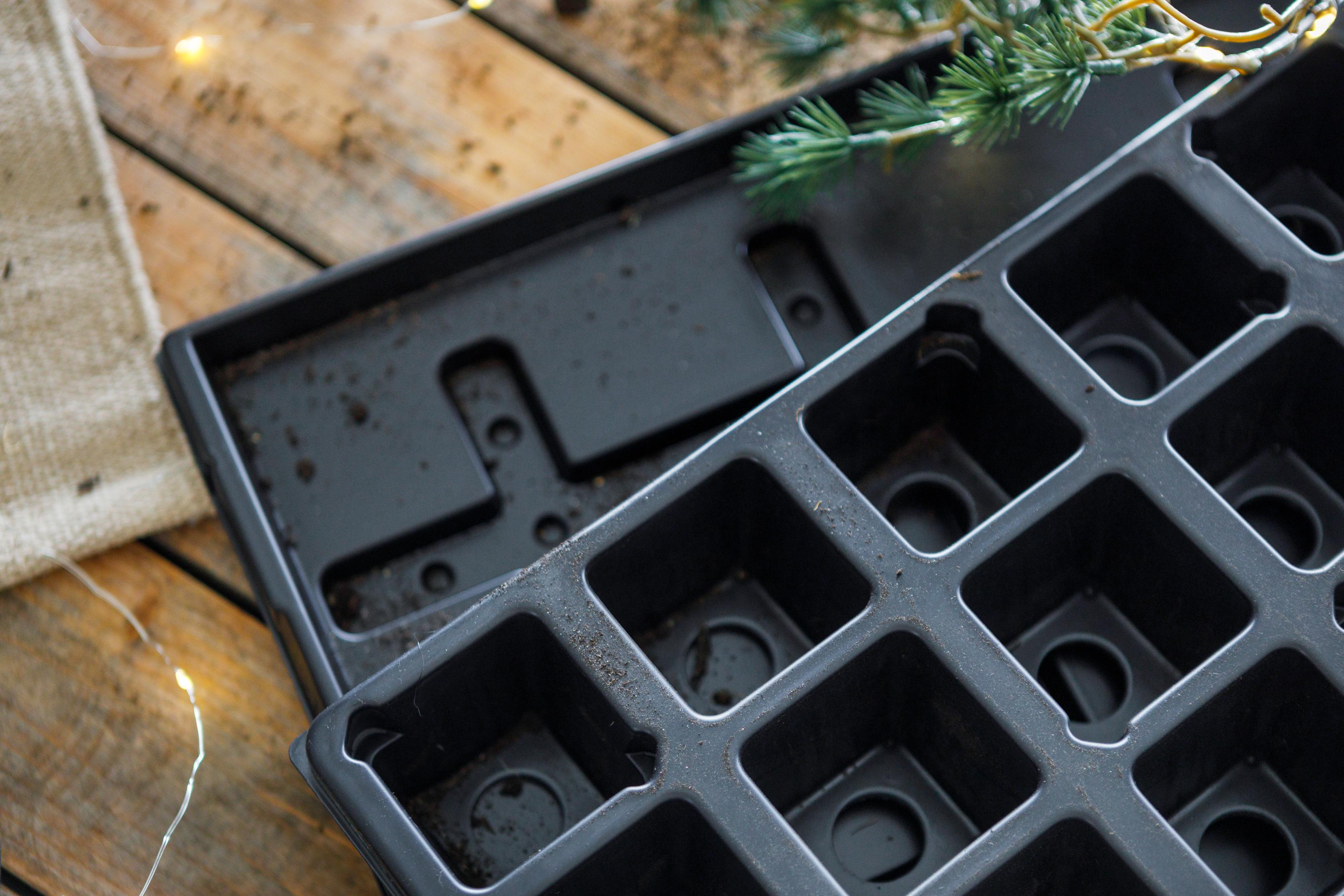 Jungpflanzen Anzucht-Set