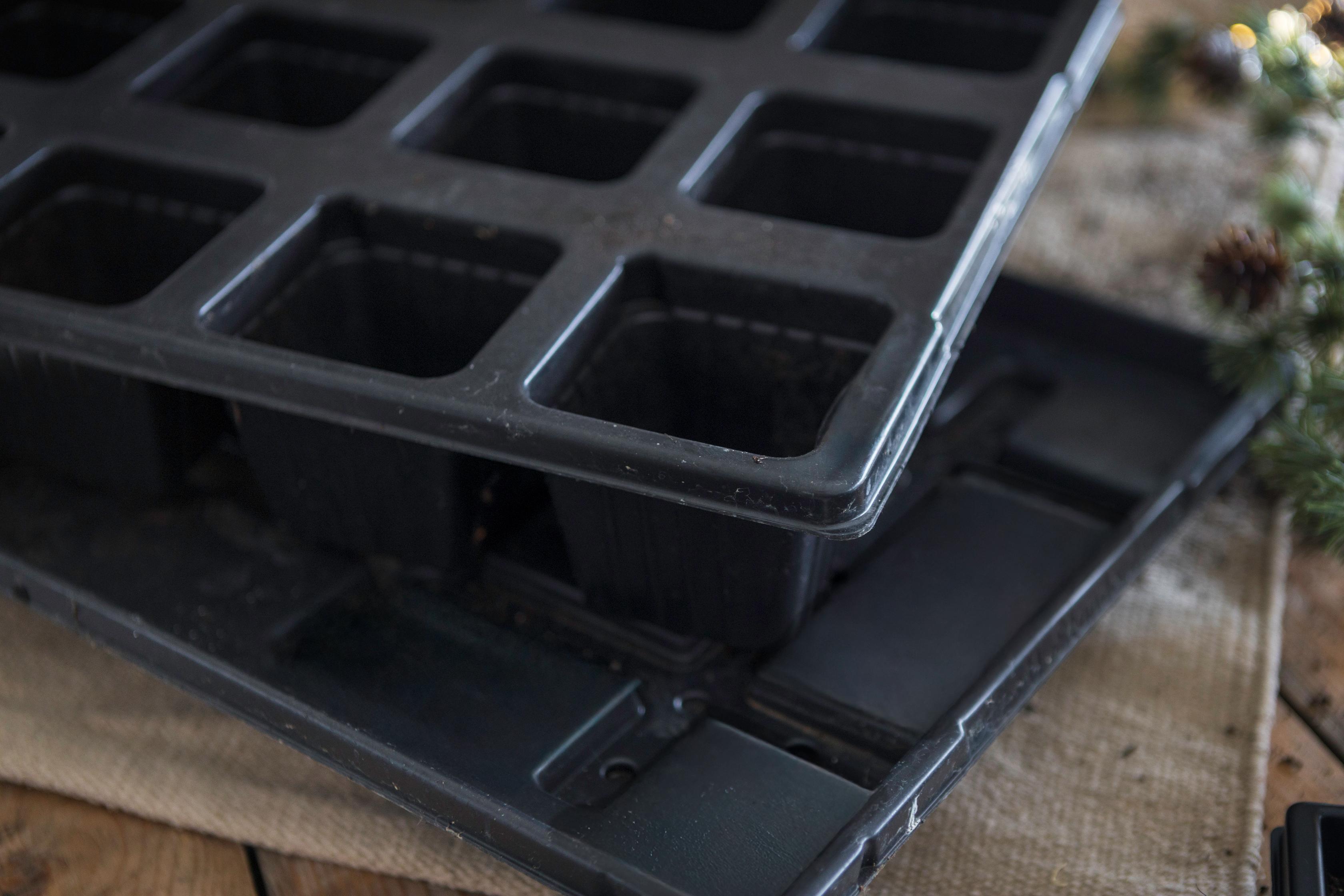 Jungpflanzen Anzucht-Set