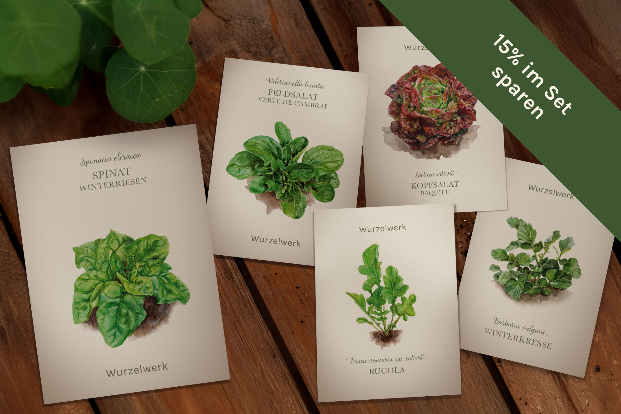 Bio-Saatgut Set 'Winterpower'