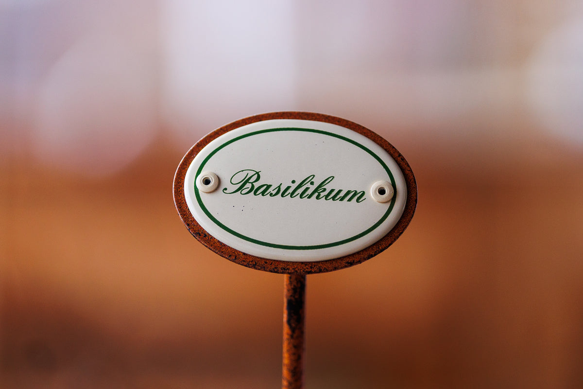 Kräuterschild "Basilikum" im Detail