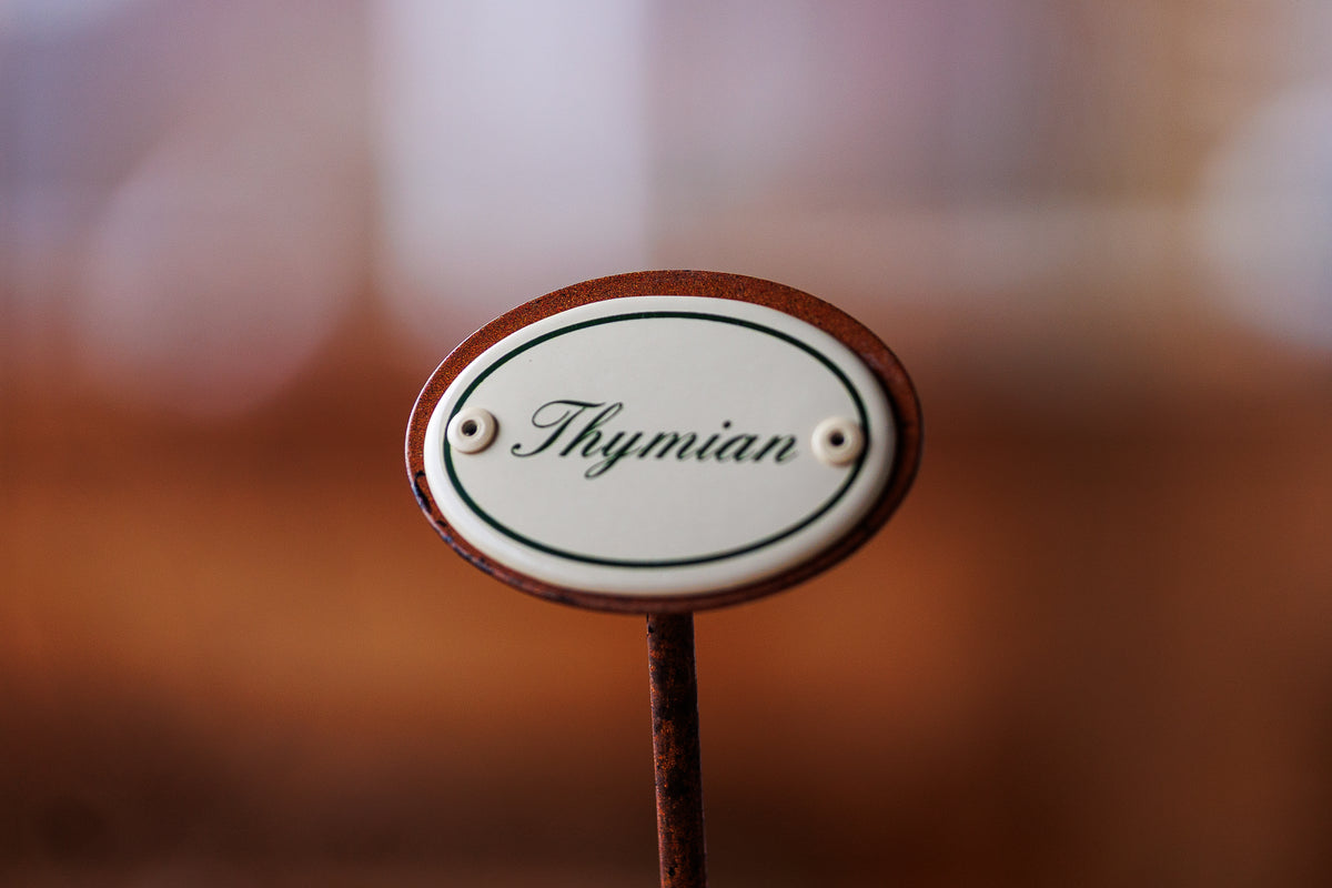 Kräuterschild "Thymian" im Detail
