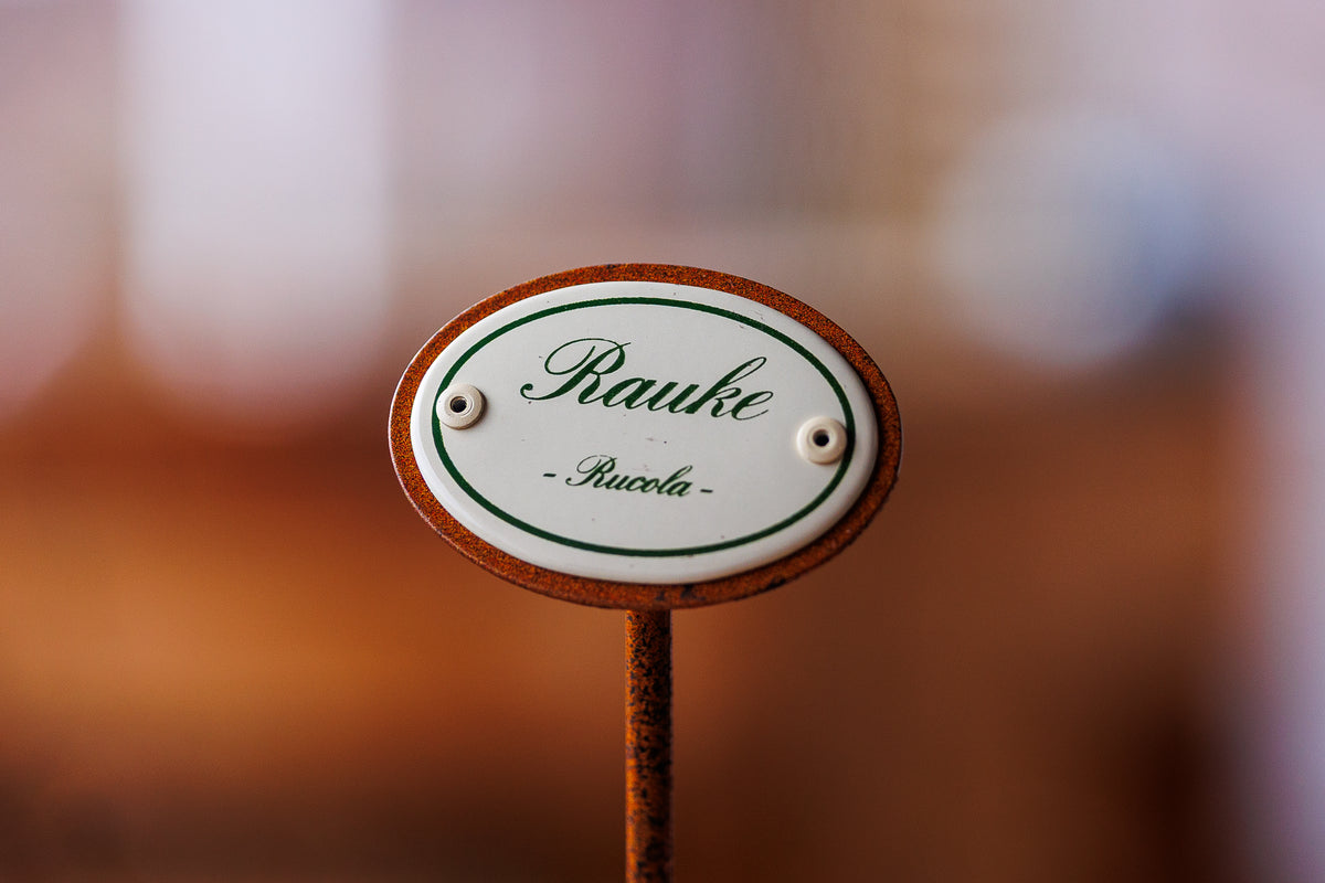 Kräuterschild "Rauke" im Detail