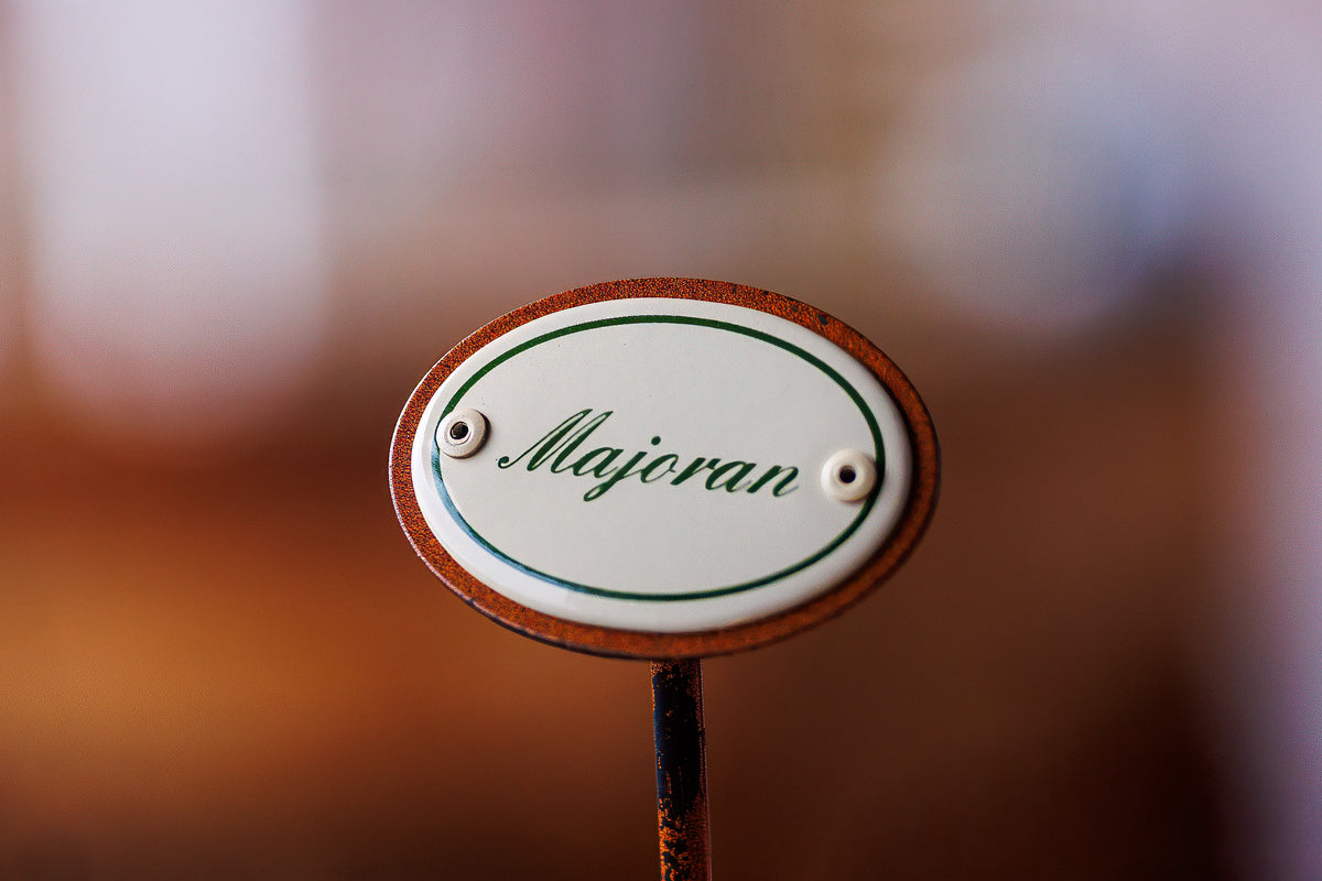 Kräuterschild "Majoran" im Detail