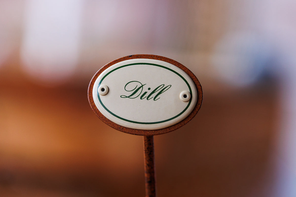 Kräuterschild "Dill" im Detail