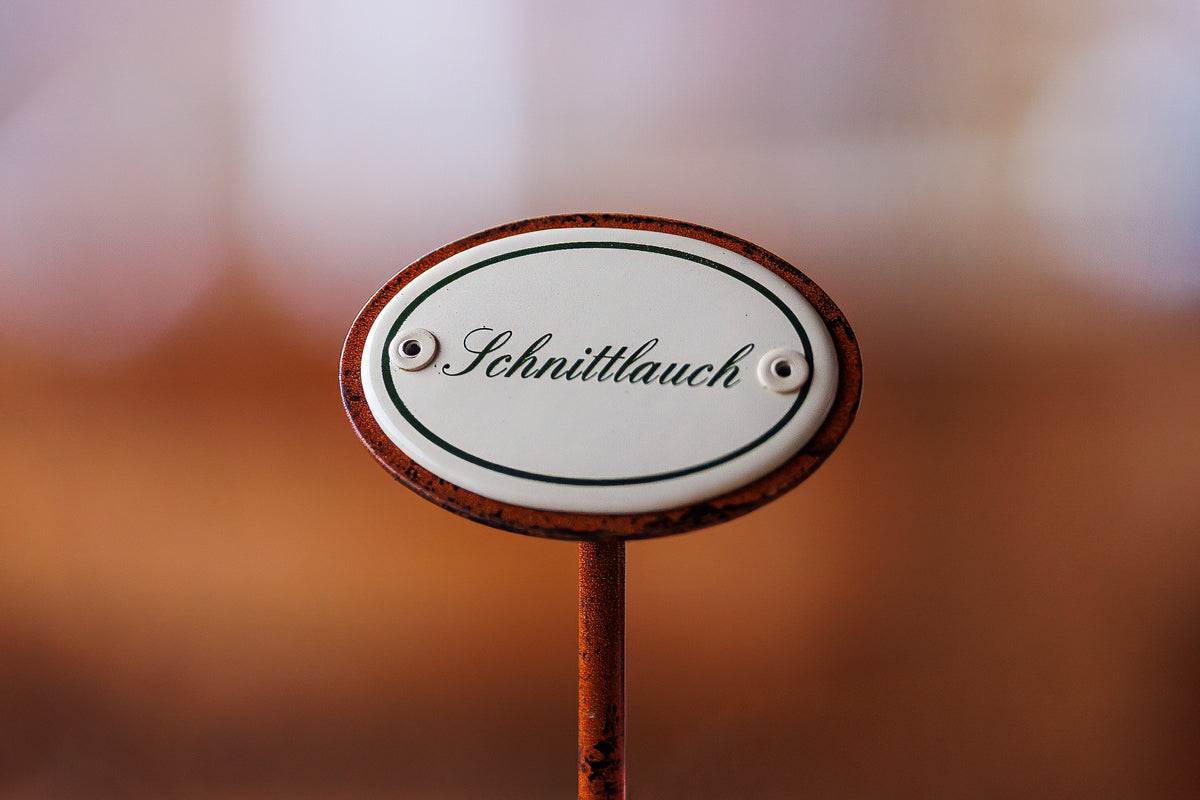 Kräuterschild "Schnittlauch" im Detail