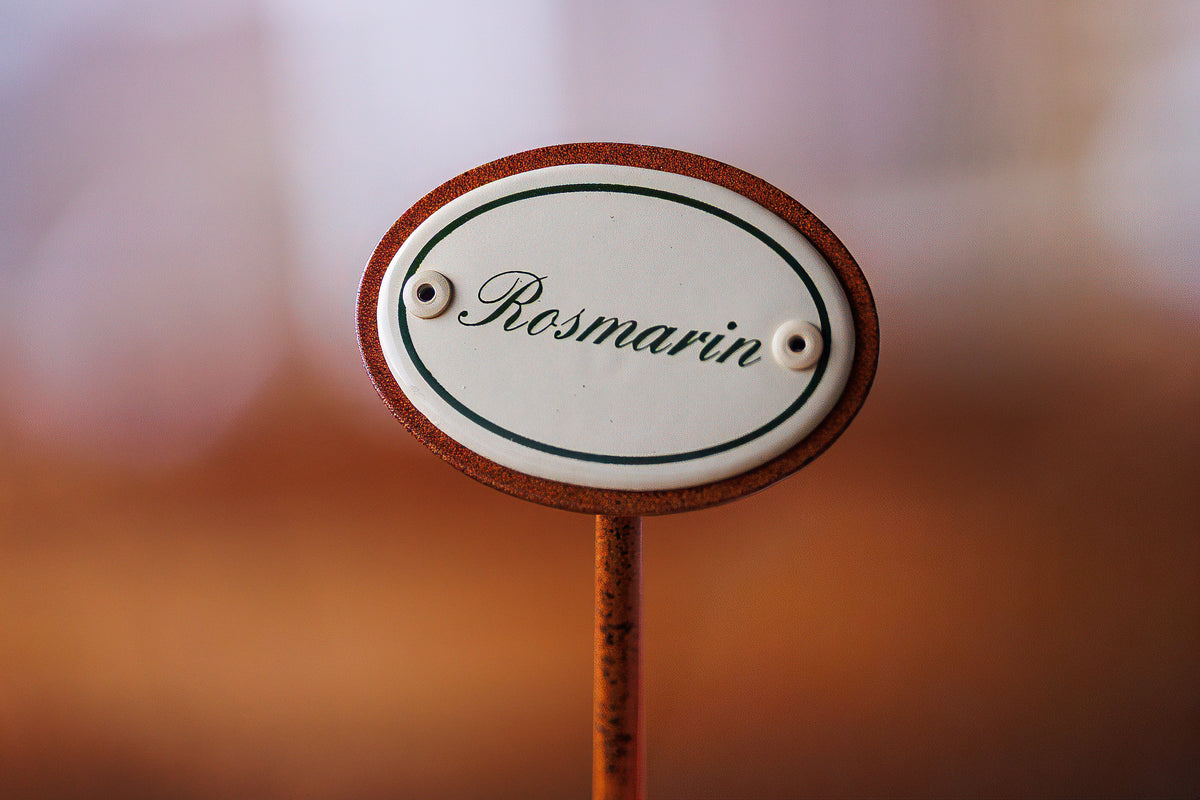 Kräuterschild "Rosmarin" im Detail