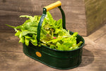 Erntekorb mit Salatblättern