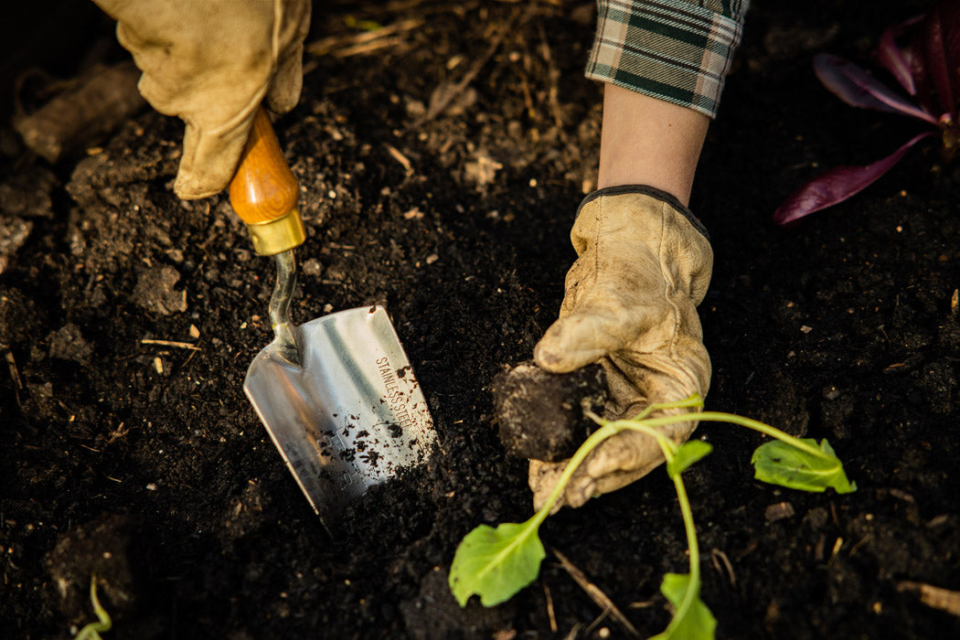 Handschaufel im Beet, Marie hält eine Jungpflanze in der Hand