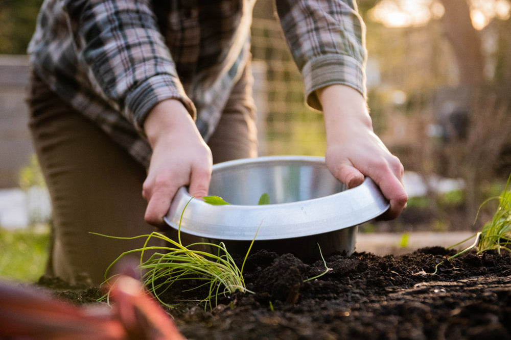 Schneckenkragen – 3er Set, aus Metall