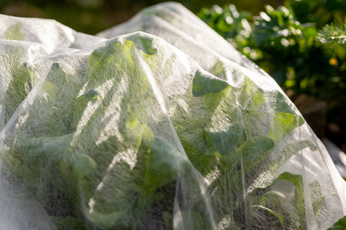 Gartenvlies im Beet
