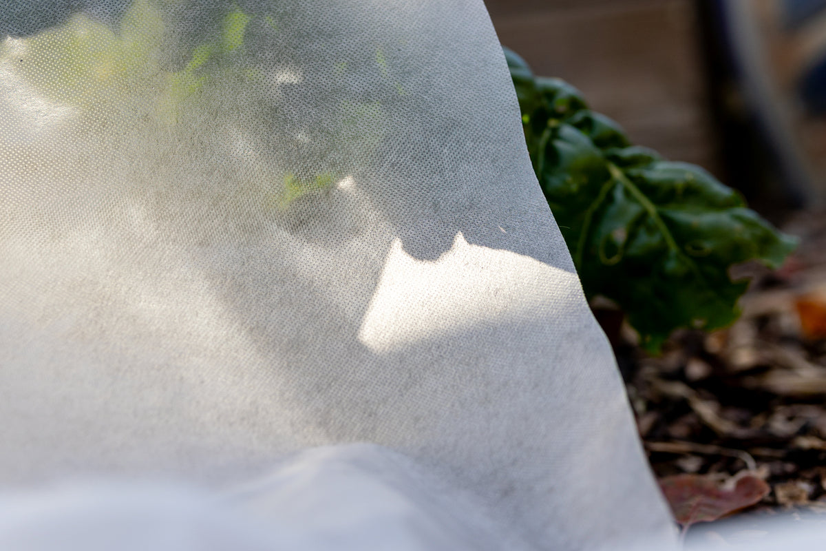 Gartenvlies im Detail