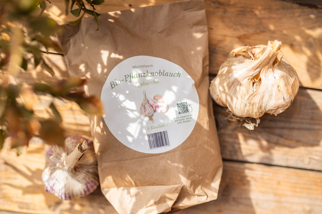 Bio-Pflanzenknoblauch in Verpackung