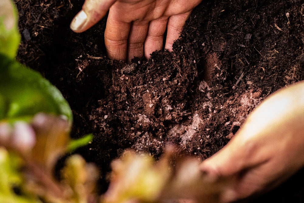 Urgesteinsmehl zur Bodenverbesserung 10kg