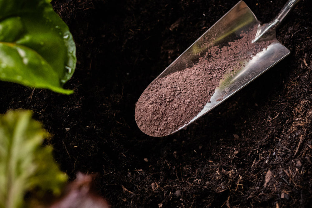 Urgesteinsmehl zur Bodenverbesserung 10kg
