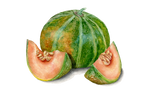 Illustration Zuckermelone "Petit Gris de Rennes"