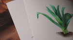 Video vom Posterset