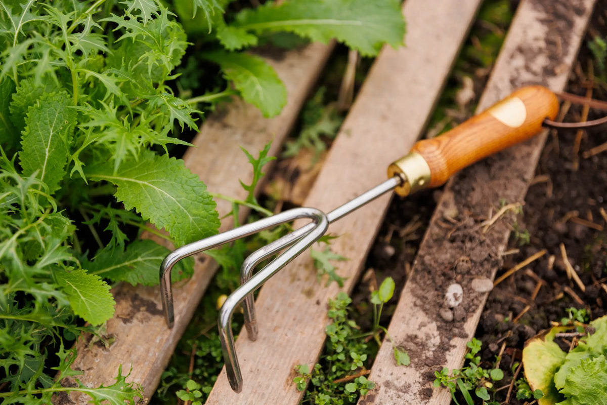 Handkralle im Garten
