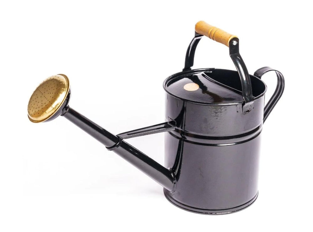 Gießkanne (grün & schwarz)